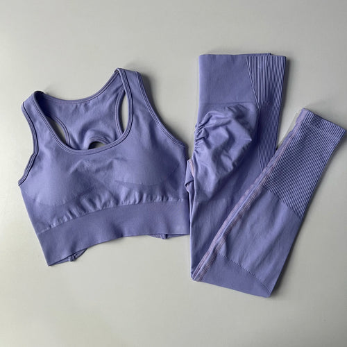 Peach Butt Lift Quick Dry Yoga Suit Set Fitness Pants High Waisted