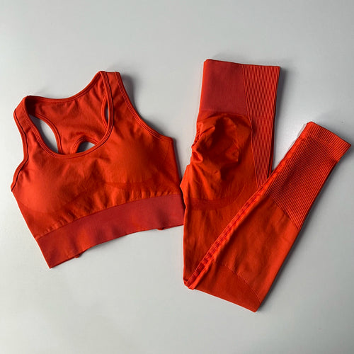 Peach Butt Lift Quick Dry Yoga Suit Set Fitness Pants High Waisted